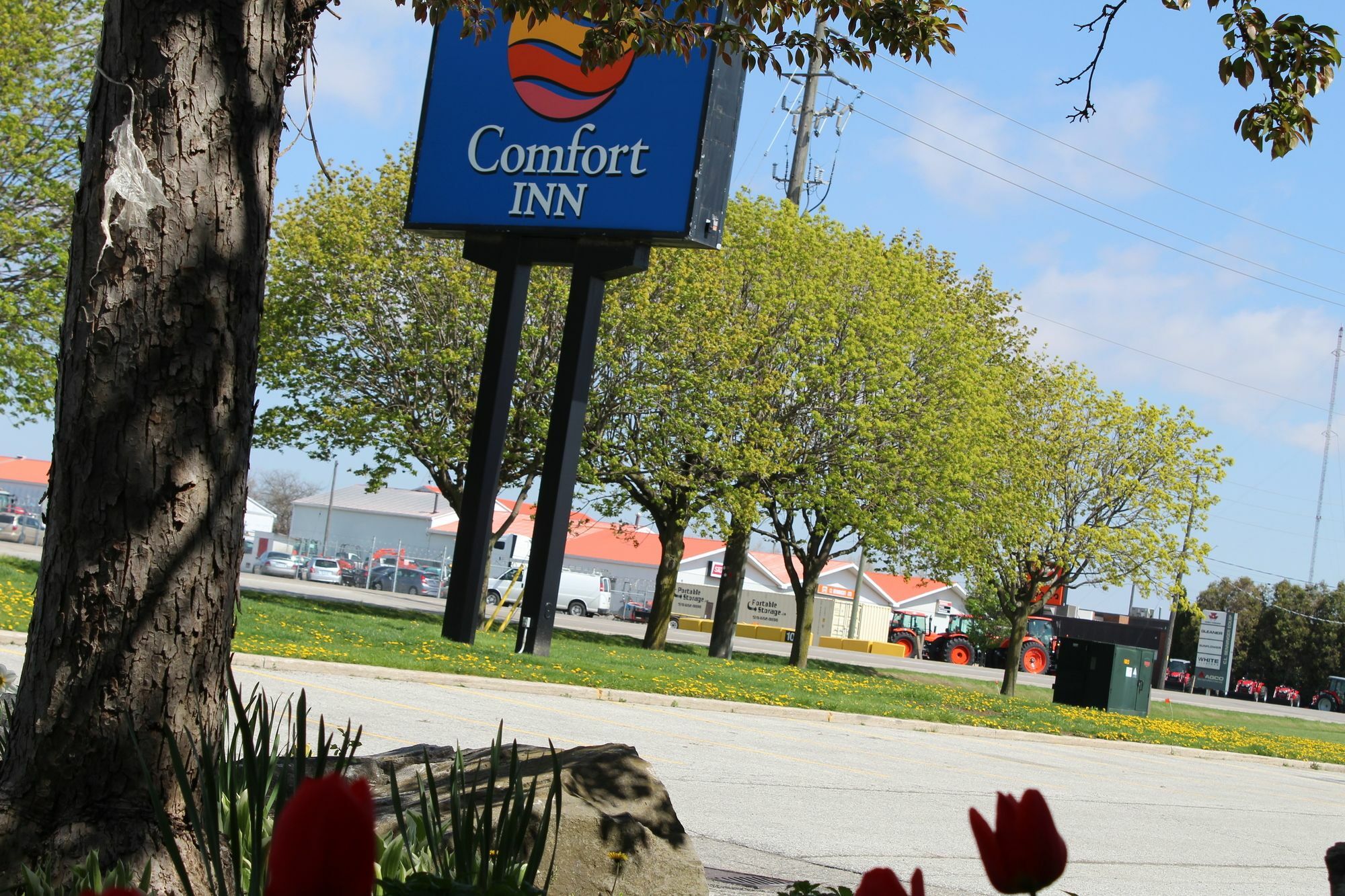 Comfort Inn Chatham-Kent Exterior foto